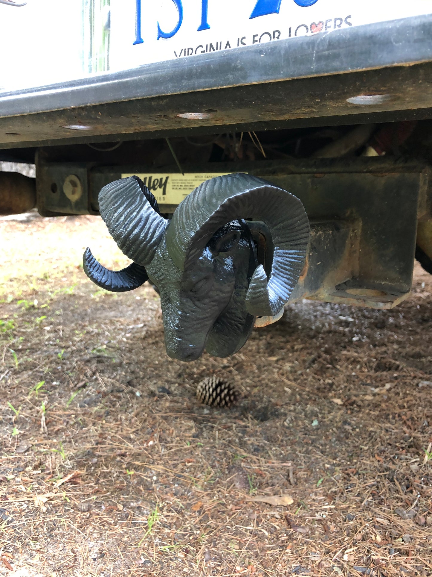 Rams head hitch cover